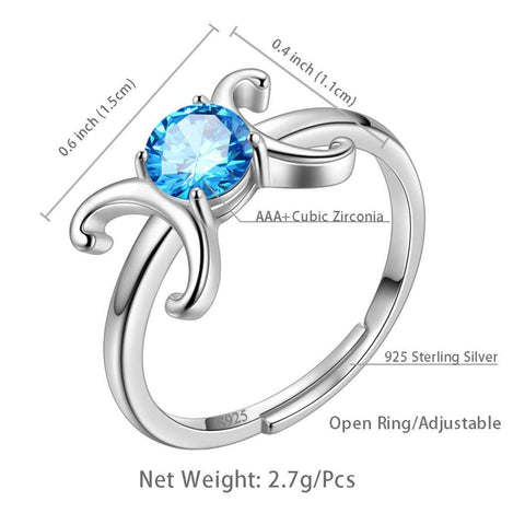 Sterling Silver Sagittarius Zodiac Sign December Birthstone Blue CZ Ring |  eBay